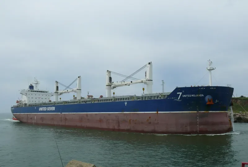 XING HONG DA 8 Bulk Carrier IMO 9632612 photo 6