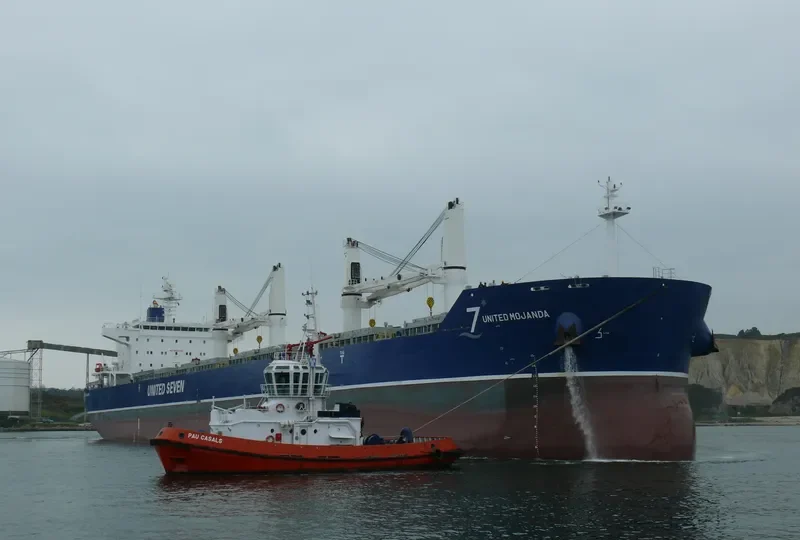 XING HONG DA 8 Bulk Carrier IMO 9632612 photo 9