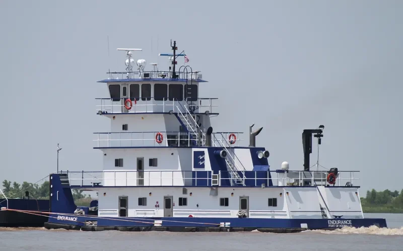 ENDURANCE General Cargo IMO 9632739