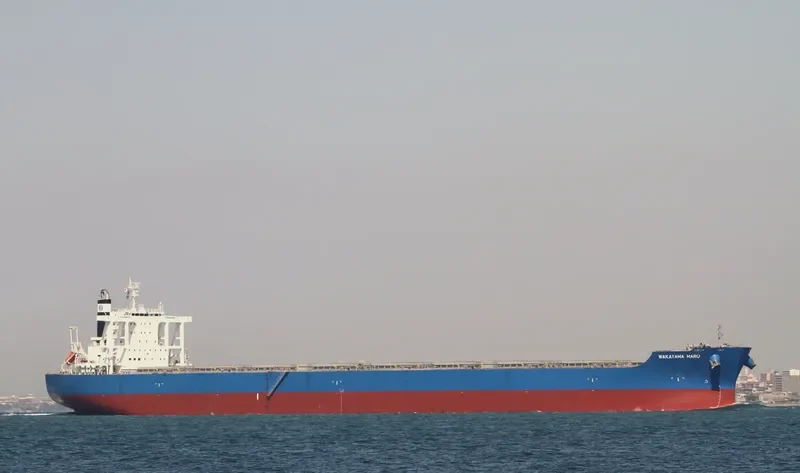 WAKAYAMA MARU Bulk Carrier IMO 9633068 photo 5