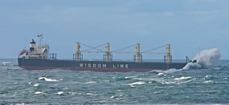 POAVOSA WISDOM VII Bulk Carrier IMO 9633276 photo 2