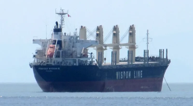 POAVOSA WISDOM VII Bulk Carrier IMO 9633276 photo 6