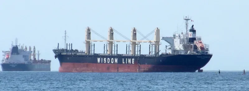 POAVOSA WISDOM VII Bulk Carrier IMO 9633276 photo 7