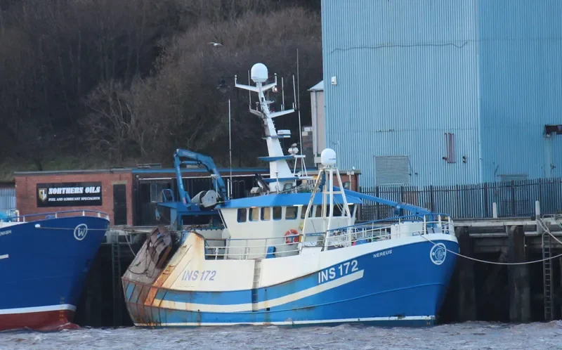 NEREUS General Cargo IMO 9634036 photo 4
