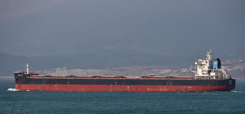 CBC FUYI Bulk Carrier IMO 9634440 photo 2