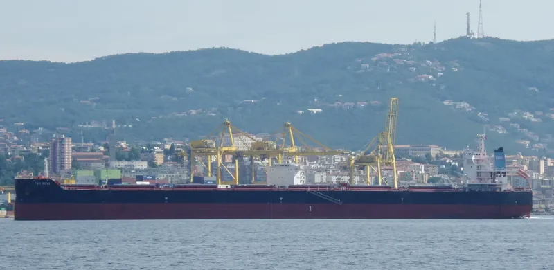 CBC FUYI Bulk Carrier IMO 9634440 photo 6