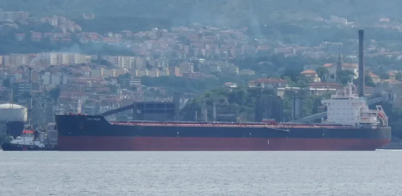 CBC FUYI Bulk Carrier IMO 9634440 photo 7