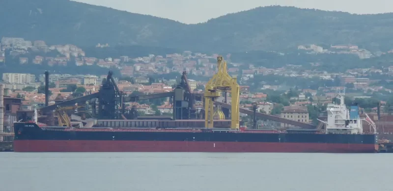CBC FUYI Bulk Carrier IMO 9634440 photo 8