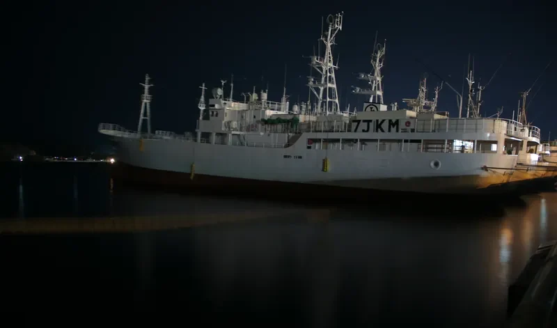SEIFUKU MARU NO.88 General Cargo IMO 9634751