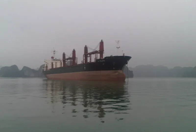 K.PLUTO Bulk Carrier IMO 9634880 photo 7