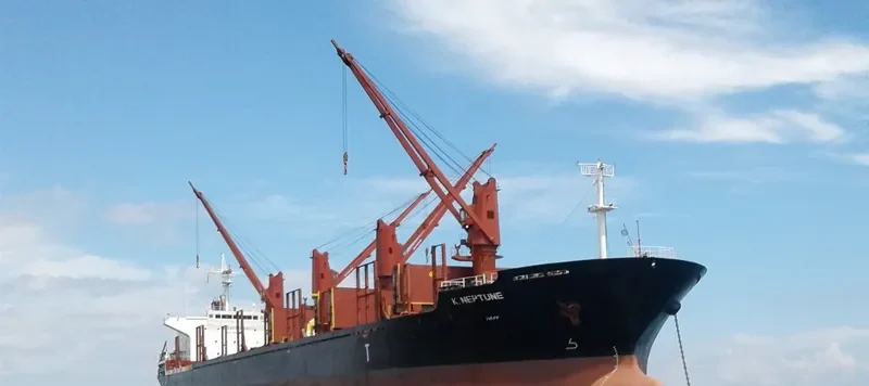 ES NEPTUNE Bulk Carrier IMO 9634892 photo 3