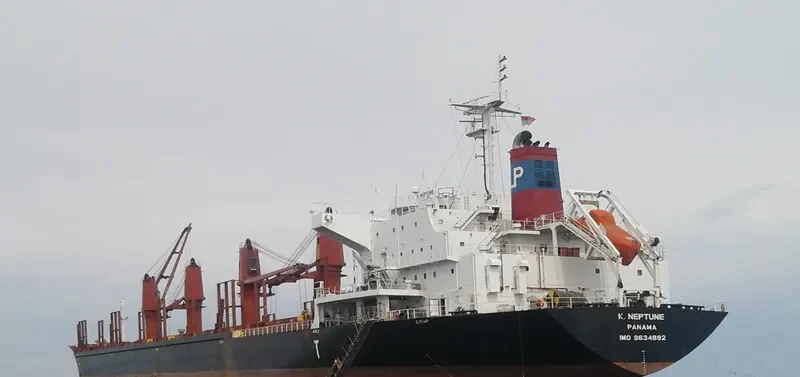ES NEPTUNE Bulk Carrier IMO 9634892 photo 4