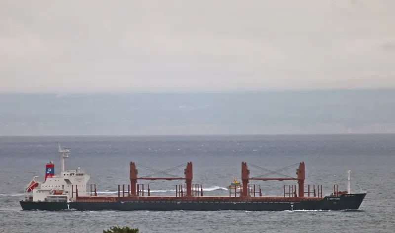 ES NEPTUNE Bulk Carrier IMO 9634892 photo 6