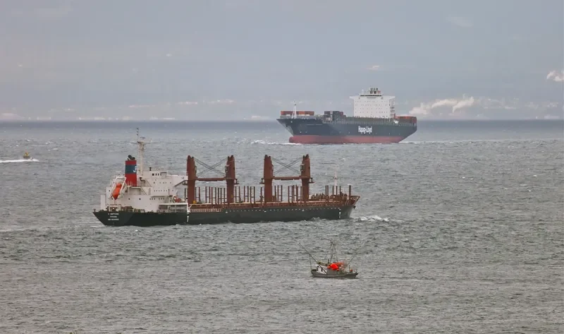 ES NEPTUNE Bulk Carrier IMO 9634892 photo 7