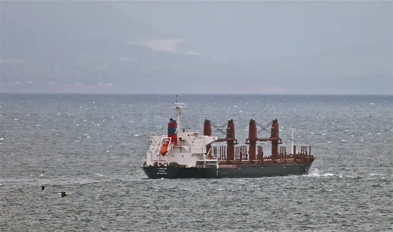 ES NEPTUNE Bulk Carrier IMO 9634892 photo 8