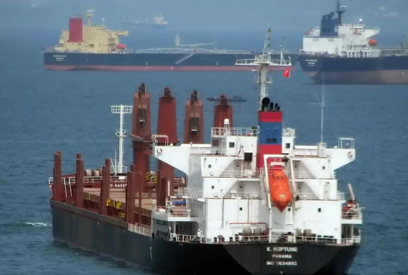 ES NEPTUNE Bulk Carrier IMO 9634892 photo 9