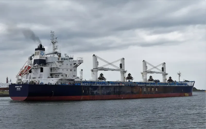 ARUNA ECE Bulk Carrier IMO 9635406 photo 2