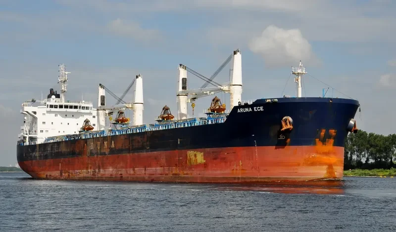 ARUNA ECE Bulk Carrier IMO 9635406 photo 9