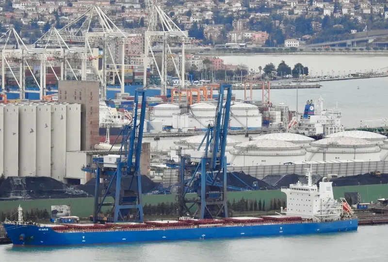 ICARUS Bulk Carrier IMO 9638678 photo 3