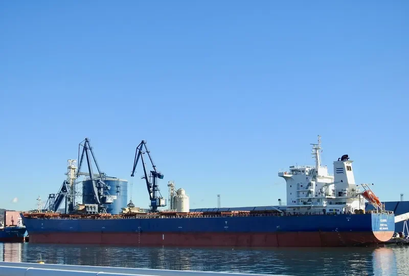ICARUS Bulk Carrier IMO 9638678 photo 4