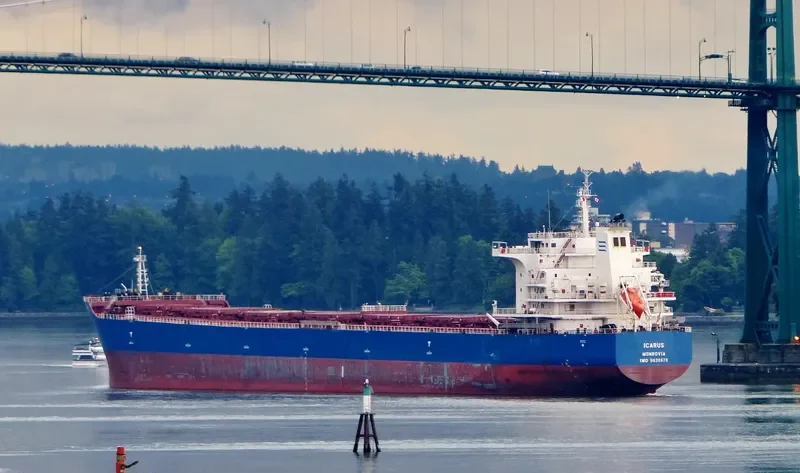 ICARUS Bulk Carrier IMO 9638678 photo 6