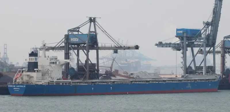 SOMNIUM AUSTRALIS Bulk Carrier IMO 9638886 photo 6