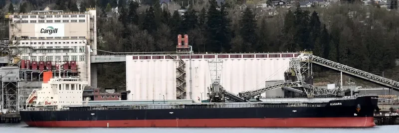 KAGARA Bulk Carrier IMO 9639684 photo 2