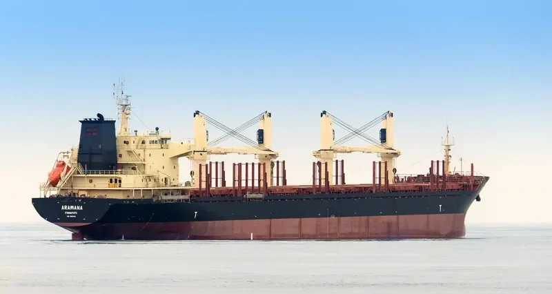 ARAWANA Bulk Carrier IMO 9640401 photo 2