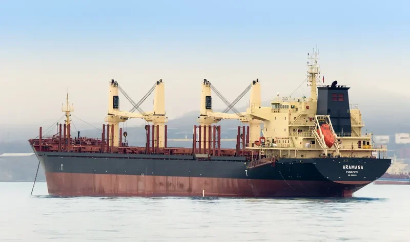 ARAWANA Bulk Carrier IMO 9640401 photo 3