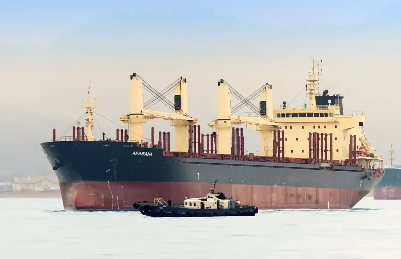ARAWANA Bulk Carrier IMO 9640401 photo 4
