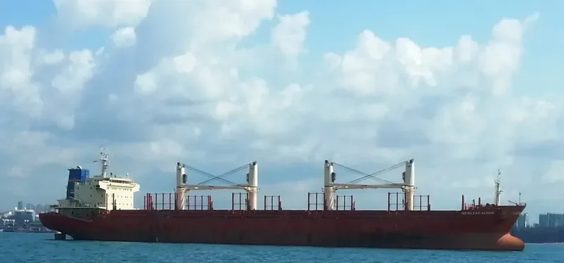 ARAWANA Bulk Carrier IMO 9640401 photo 5