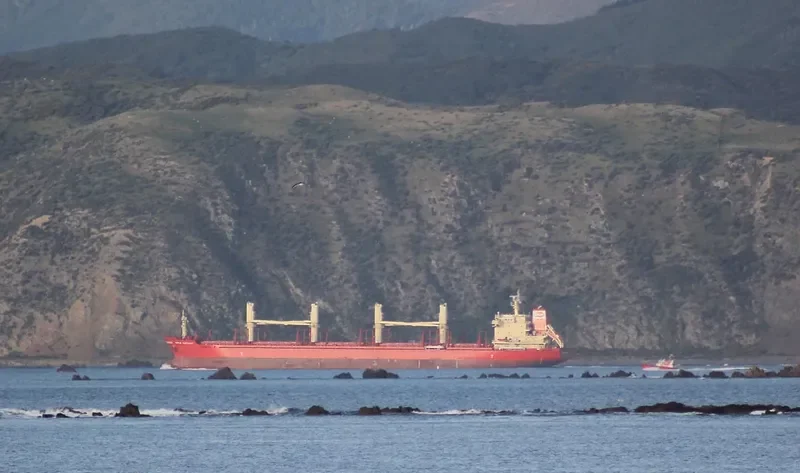 ARAWANA Bulk Carrier IMO 9640401 photo 7