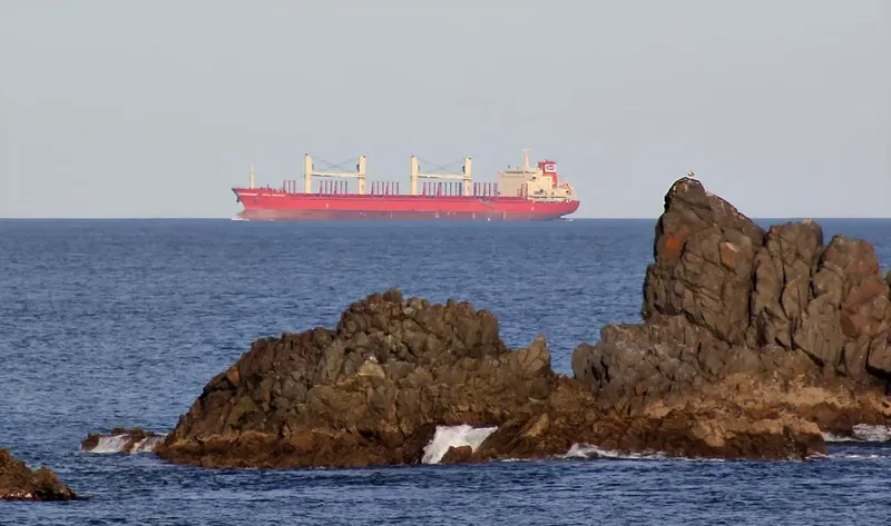 ARAWANA Bulk Carrier IMO 9640401 photo 8