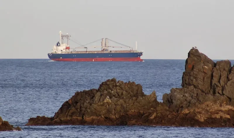 ARAWANA Bulk Carrier IMO 9640401 photo 9