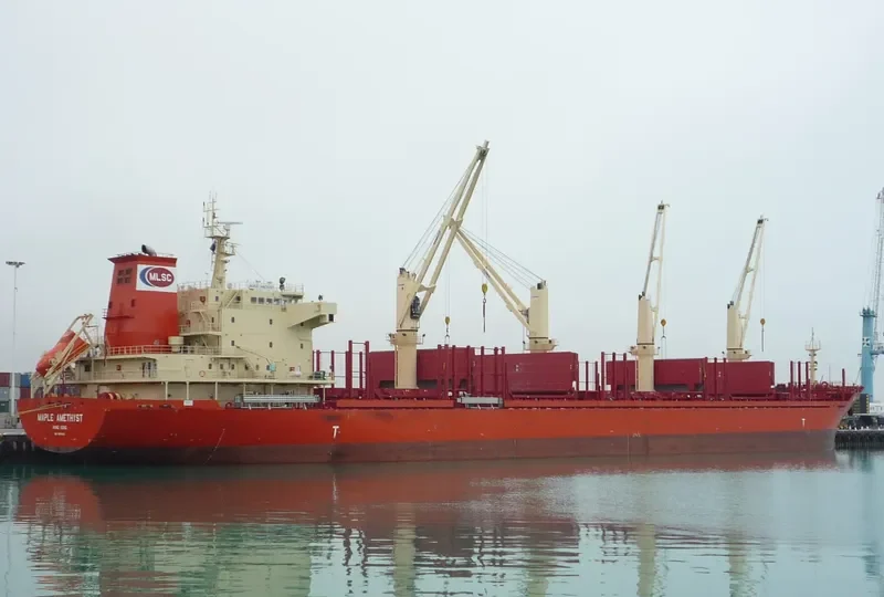 ARAWANA Bulk Carrier IMO 9640401 photo 10