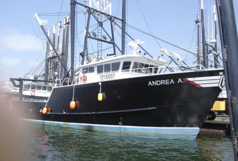 ANDREA A General Cargo IMO 9641120 photo 5