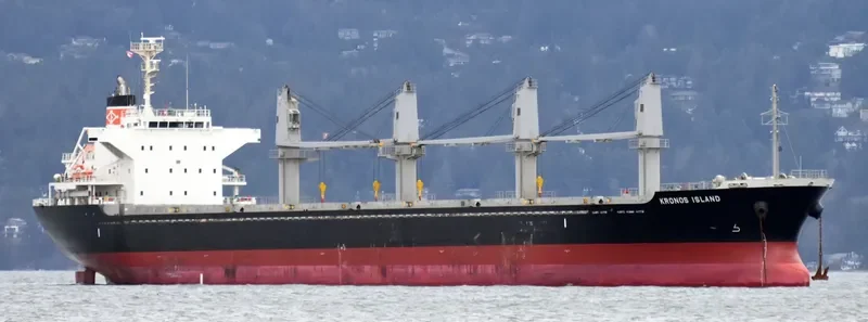 PREDATOR Bulk Carrier IMO 9641792 photo 3