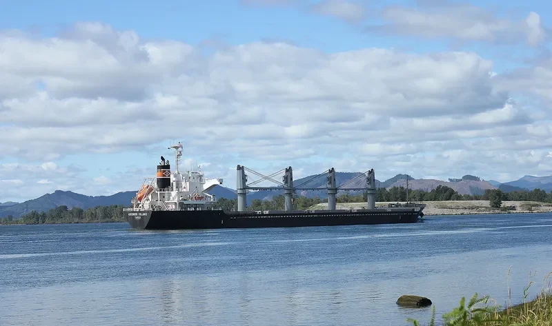 PREDATOR Bulk Carrier IMO 9641792 photo 9