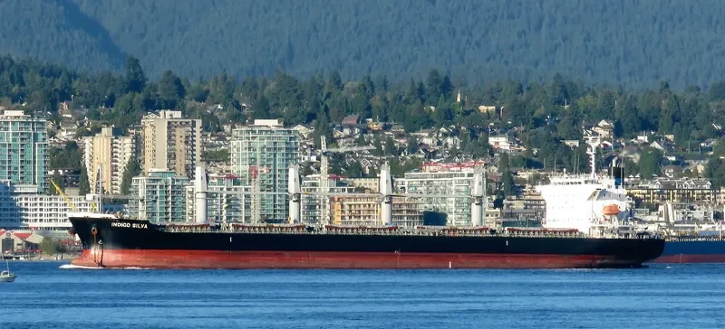 OLIVIAN CONFIDENCE Bulk Carrier IMO 9642162 photo 2