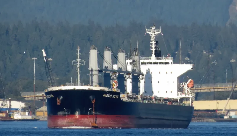 OLIVIAN CONFIDENCE Bulk Carrier IMO 9642162 photo 3