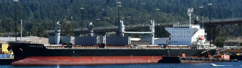 OLIVIAN CONFIDENCE Bulk Carrier IMO 9642162 photo 4