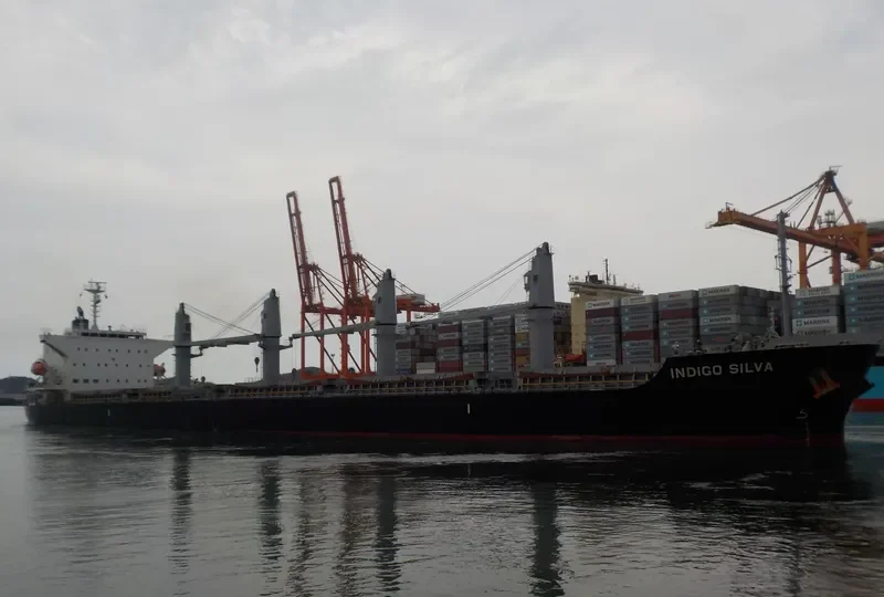 OLIVIAN CONFIDENCE Bulk Carrier IMO 9642162 photo 5