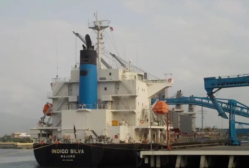 OLIVIAN CONFIDENCE Bulk Carrier IMO 9642162 photo 6