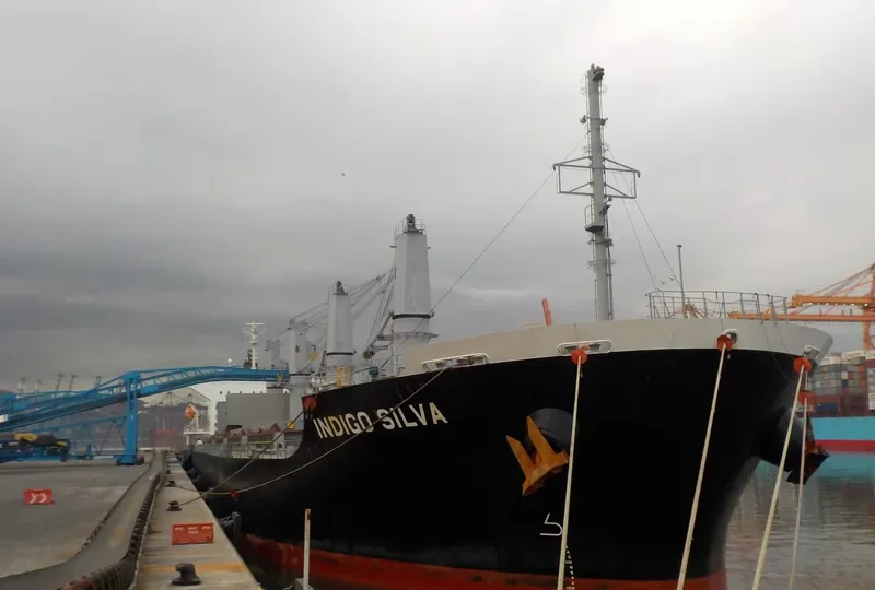 OLIVIAN CONFIDENCE Bulk Carrier IMO 9642162 photo 7