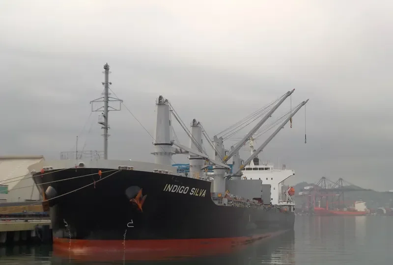 OLIVIAN CONFIDENCE Bulk Carrier IMO 9642162 photo 8