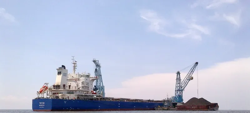 TRITON Bulk Carrier IMO 9642356 photo 2