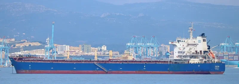 TRITON Bulk Carrier IMO 9642356 photo 4