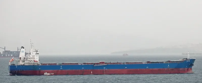TRITON Bulk Carrier IMO 9642356 photo 8