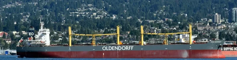 TRINA OLDENDORFF Bulk Carrier IMO 9642370 photo 3