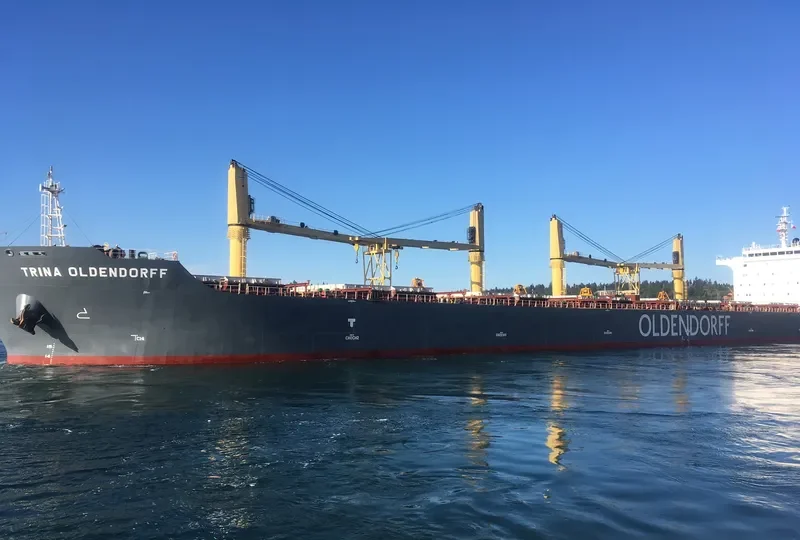 TRINA OLDENDORFF Bulk Carrier IMO 9642370 photo 5